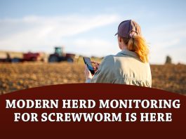 Don’t Get Screwed: Modern Herd Monitoring for Screwworm is Here