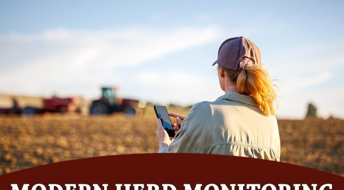 Don’t Get Screwed: Modern Herd Monitoring for Screwworm is Here
