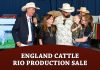 England Cattle Company Hosts Record Setting Brahmans on the Rio Production Sale