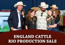 England Cattle Company Hosts Record Setting Brahmans on the Rio Production Sale