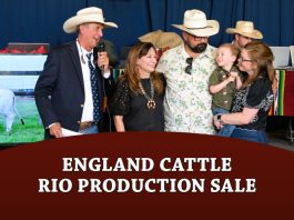 England Cattle Company Hosts Record Setting Brahmans on the Rio Production Sale