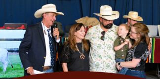England Cattle Company Hosts Record Setting Brahmans on the Rio Production Sale