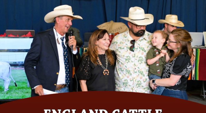 England Cattle Company Hosts Record Setting Brahmans on the Rio Production Sale