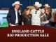 England Cattle Company Hosts Record Setting Brahmans on the Rio Production Sale