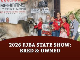 2026 FJBA State Show: Bred & Owned
