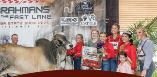 2026 FJBA State Show: Bred & Owned