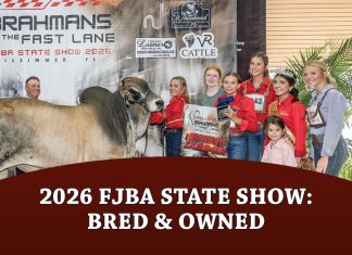 2026 FJBA State Show: Bred & Owned
