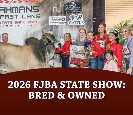 2026 FJBA State Show: Bred & Owned