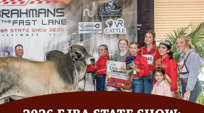 2026 FJBA State Show: Bred & Owned