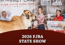 2026 FJBA State Show
