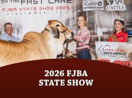 2026 FJBA State Show
