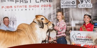 2026 FJBA State Show