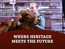 Where Heritage Meets the Future