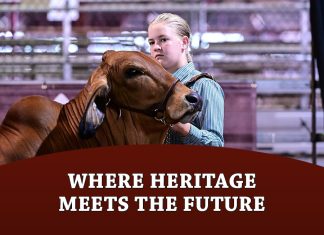 Where Heritage Meets the Future