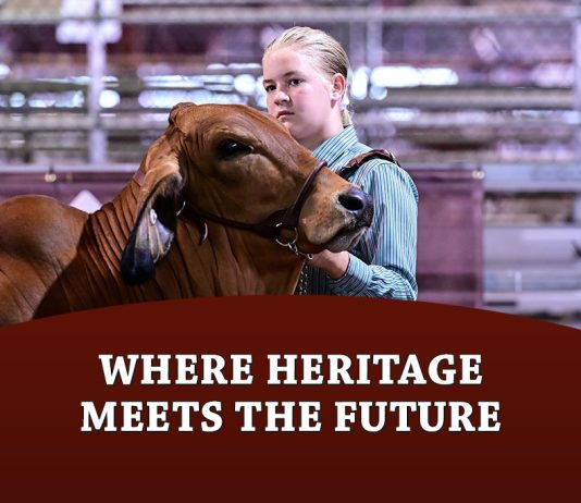 Where Heritage Meets the Future