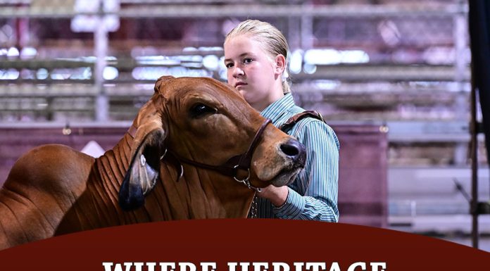 Where Heritage Meets the Future