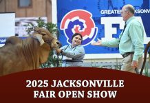 Jacksonville Fair Open Show