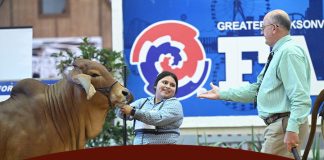 Jacksonville Fair Open Show