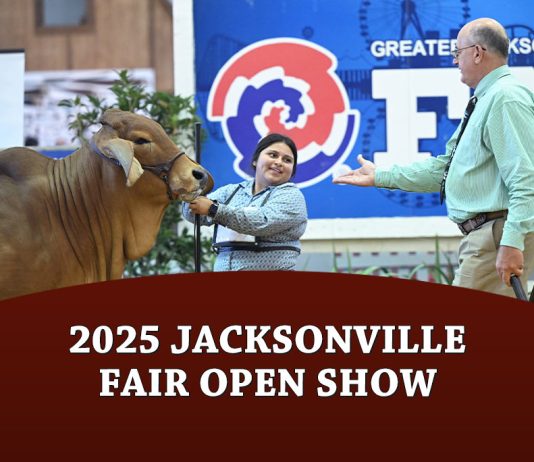 Jacksonville Fair Open Show