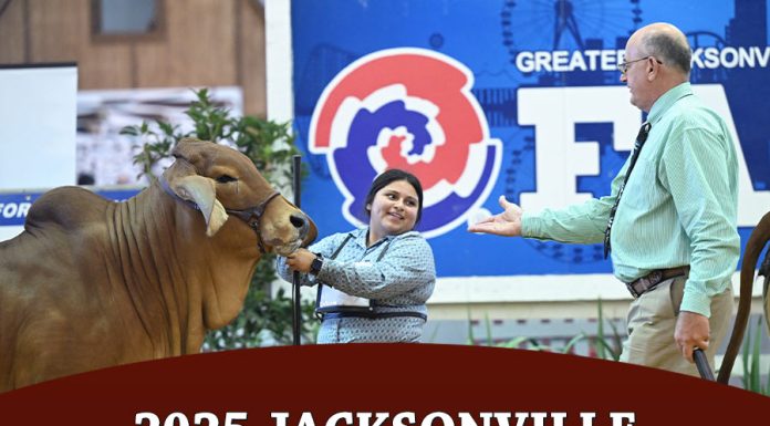 Jacksonville Fair Open Show