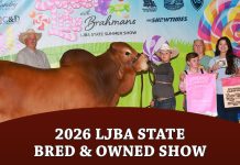 LJBA State Bred & Owned Show