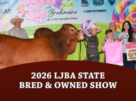 LJBA State Bred & Owned Show