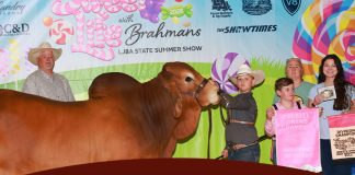 LJBA State Bred & Owned Show