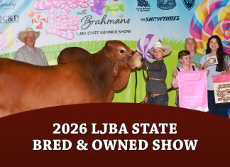 LJBA State Bred & Owned Show