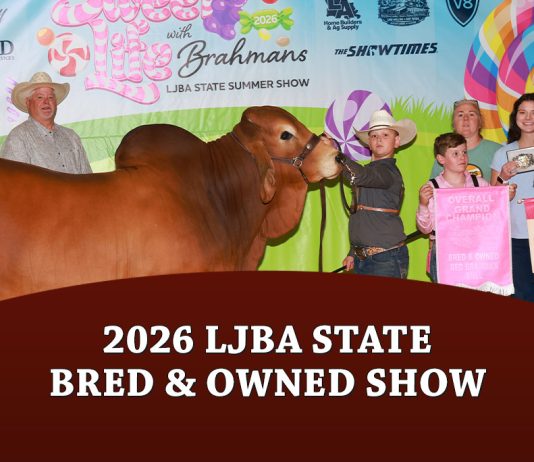 LJBA State Bred & Owned Show