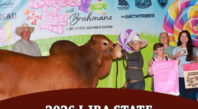 LJBA State Bred & Owned Show