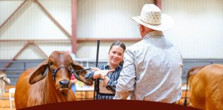 2026 LJBA State Owned Show