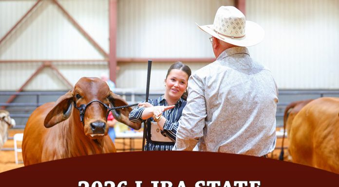 2026 LJBA State Owned Show