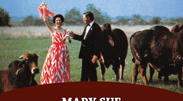 Mary Sue Koontz Nelson