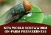 New World Screwworm on-farm preparedness