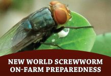 New World Screwworm on-farm preparedness