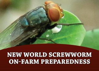 New World Screwworm on-farm preparedness