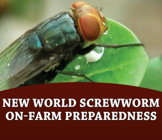 New World Screwworm on-farm preparedness