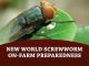 New World Screwworm on-farm preparedness