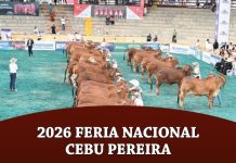 2025 78 Feria Nacional Cebu Pereira