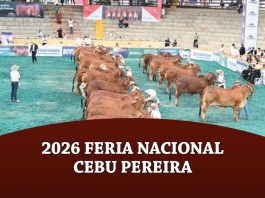 2025 78 Feria Nacional Cebu Pereira