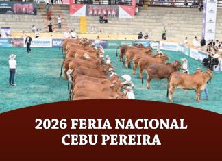 2025 78 Feria Nacional Cebu Pereira