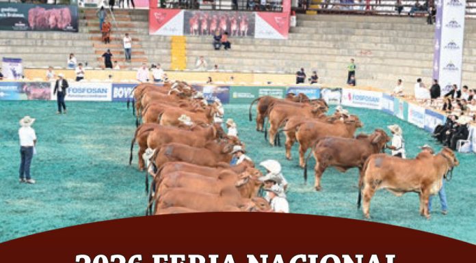 2025 78 Feria Nacional Cebu Pereira