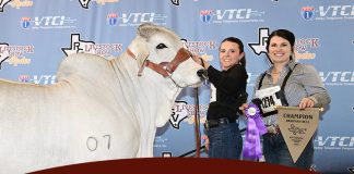2026 Rio Grande Valley Livestock Show