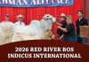 2026 Red River Bos Indicus International