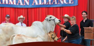 2026 Red River Bos Indicus International