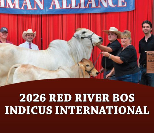 2026 Red River Bos Indicus International