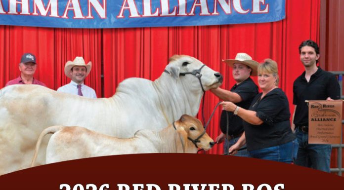 2026 Red River Bos Indicus International