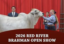 2026 Red River Brahman Open Show