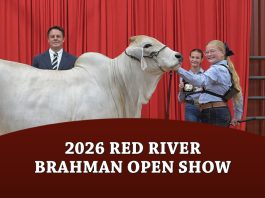 2026 Red River Brahman Open Show