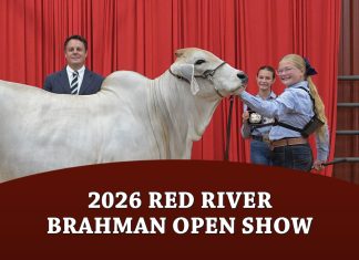 2026 Red River Brahman Open Show